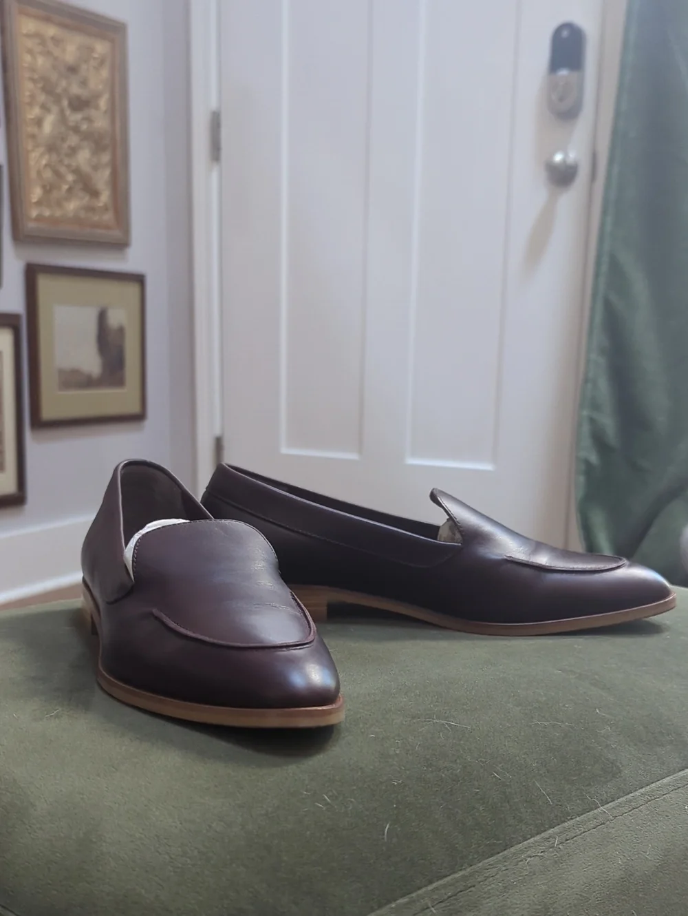 Everlane Modern Loafer in Burgundy NWOT
